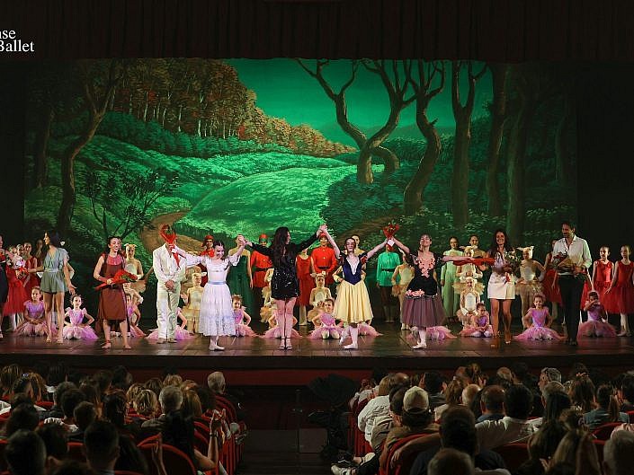Protetto: Danse et Ballet