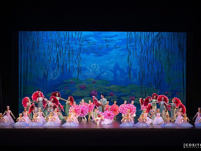 Protetto: Progetto Danza